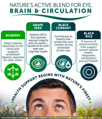 Awakened.energy OcuBerry ingredient blend highlighting pure vegan formula