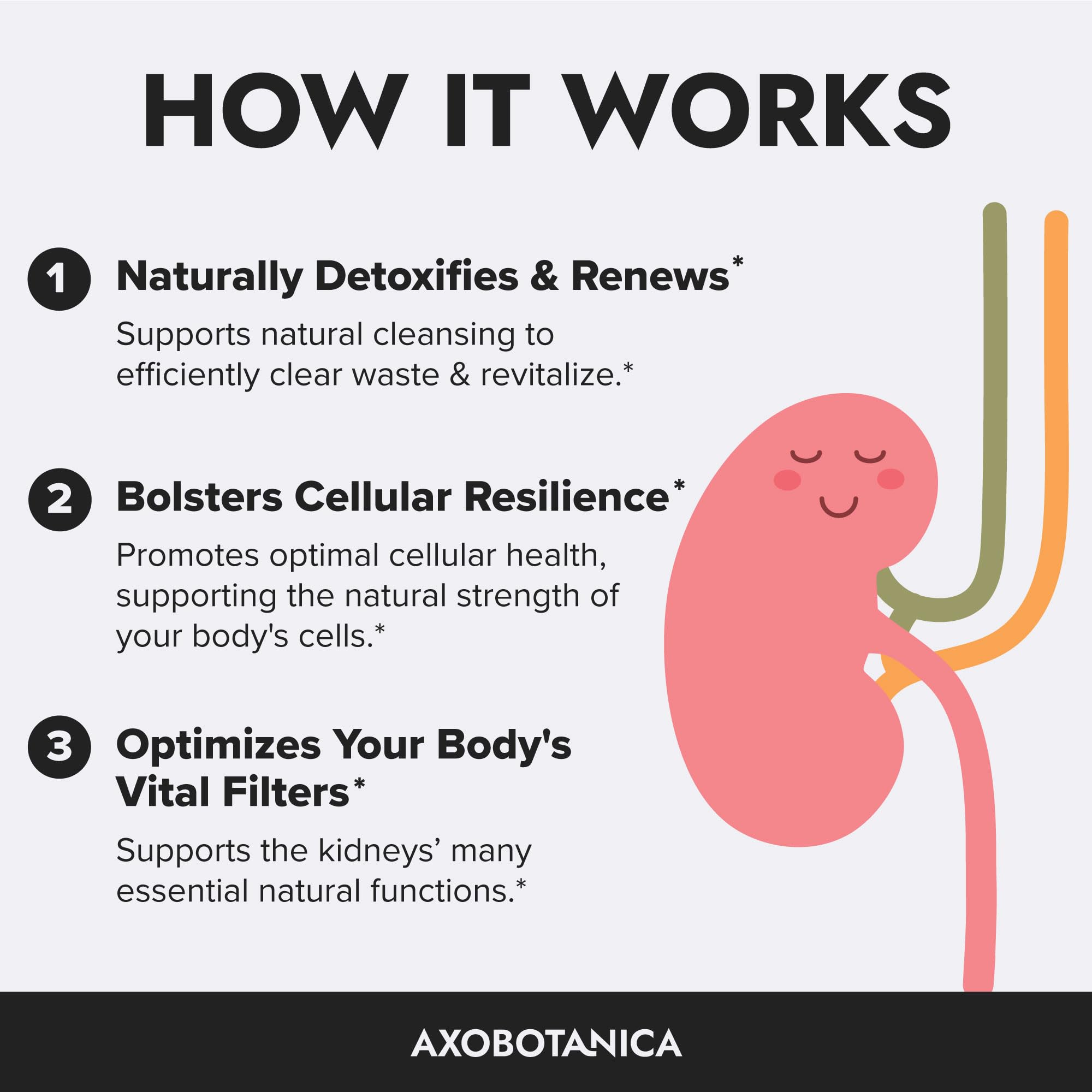 Axobotanica Kidney Cleanse magnesium-illustration indicating mineral balance