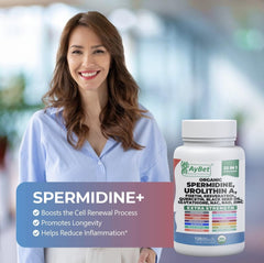 AyBet Spermidine Urolithin A capsules in a blister pack for easy daily use.