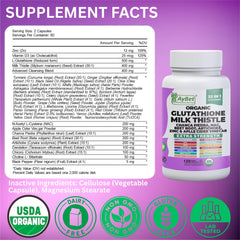 AyBet turmeric liver-support blend highlighting potent antioxidant potential
