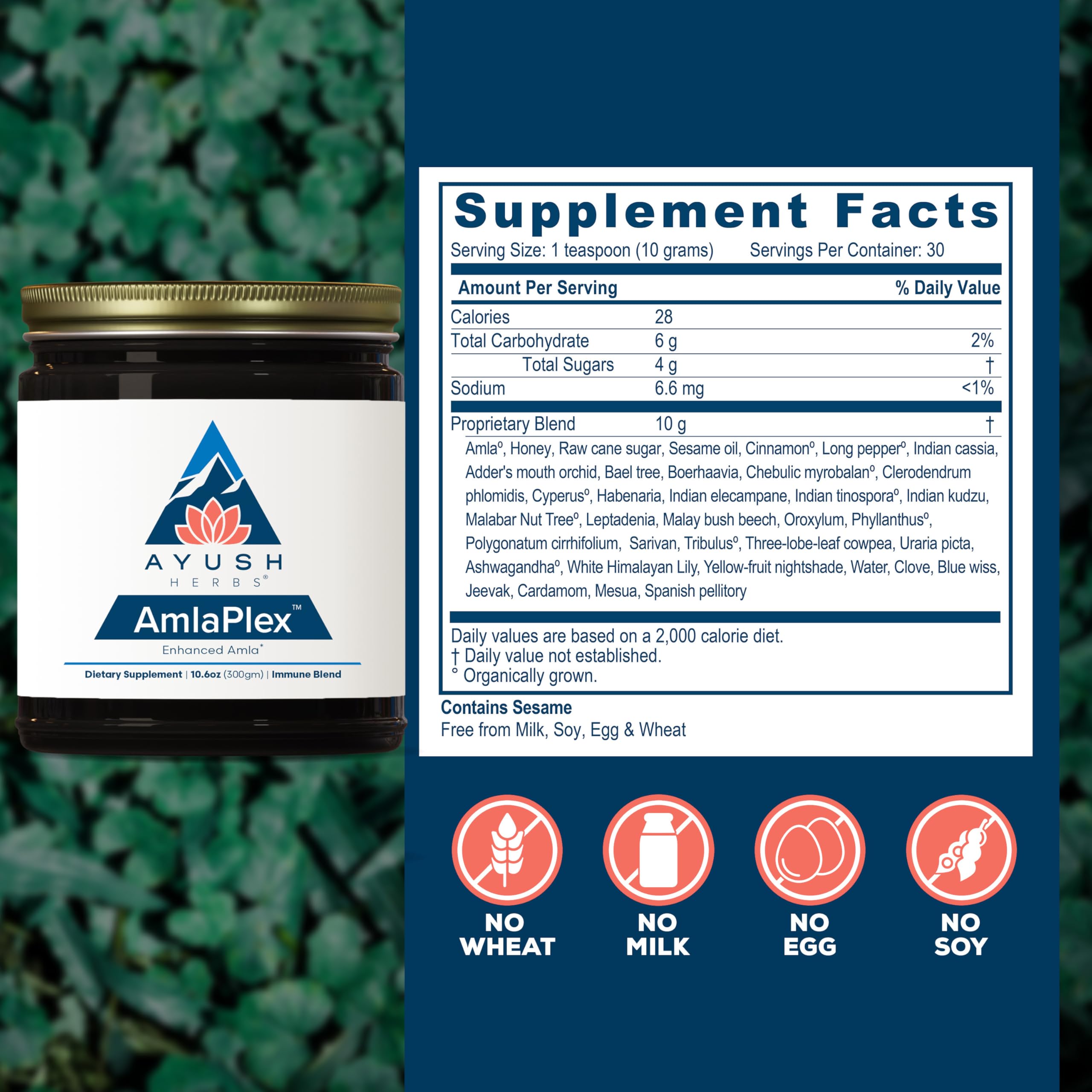Ayush Herbs AmlaPlex spoon and jar for convenient daily servings
