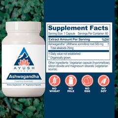 Ayush Herbs Ashwagandha Capsules pour image suggests easy daily use and calm focus