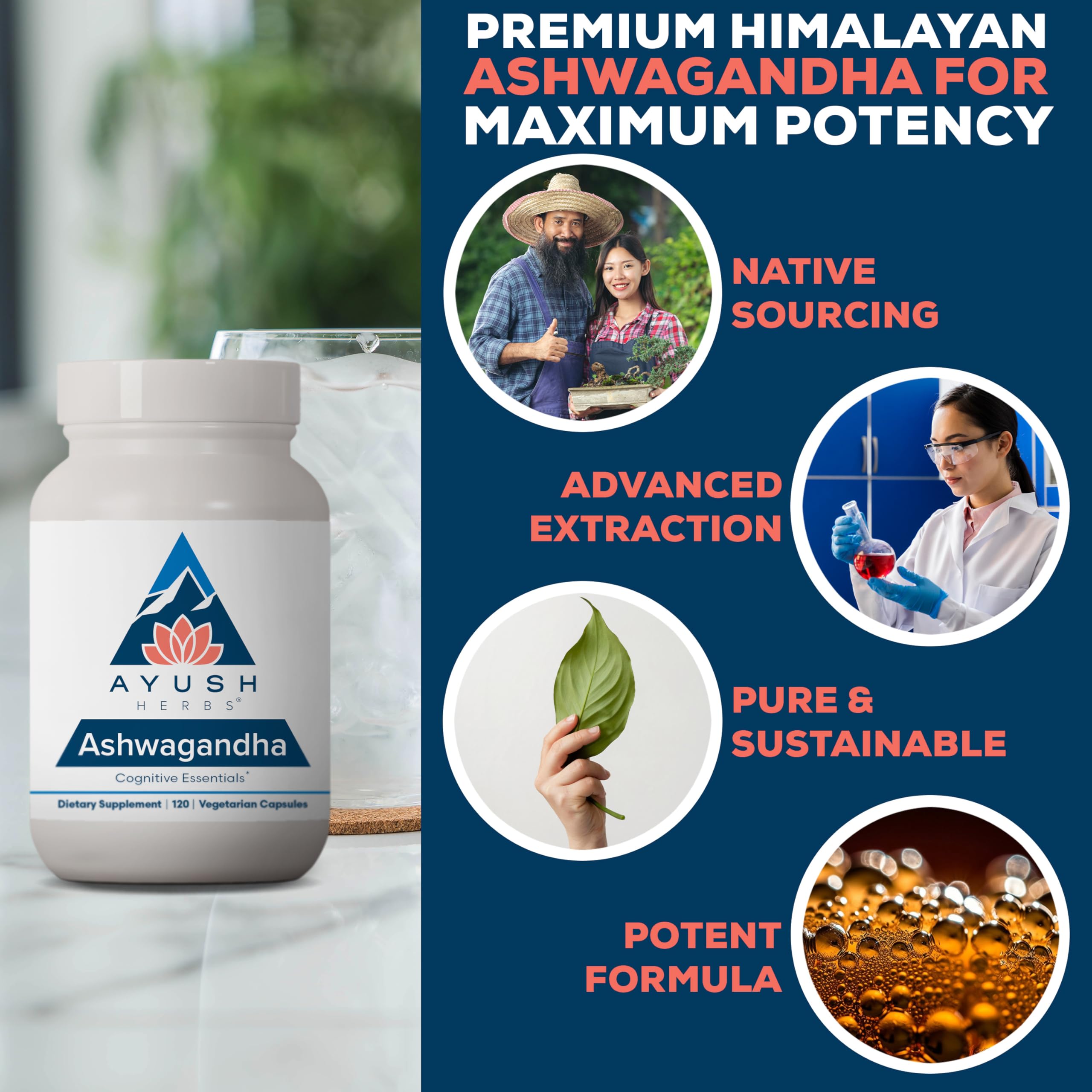 Ayush Herbs Ashwagandha Extract 500 mg per pill delivers potent support