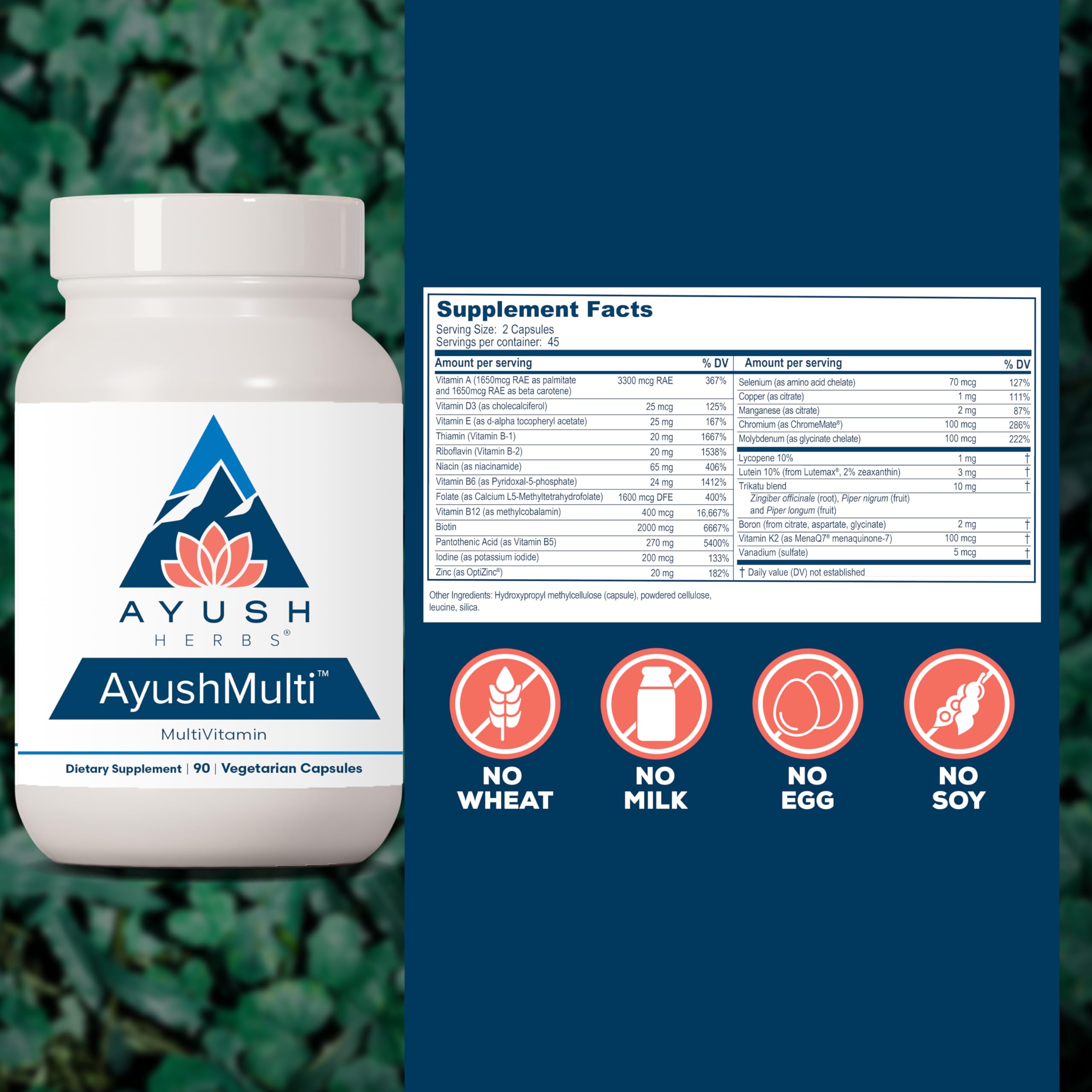 The Ayush Herbs Ayush Multi label emphasizes iodine and zinc support for daily vitality.