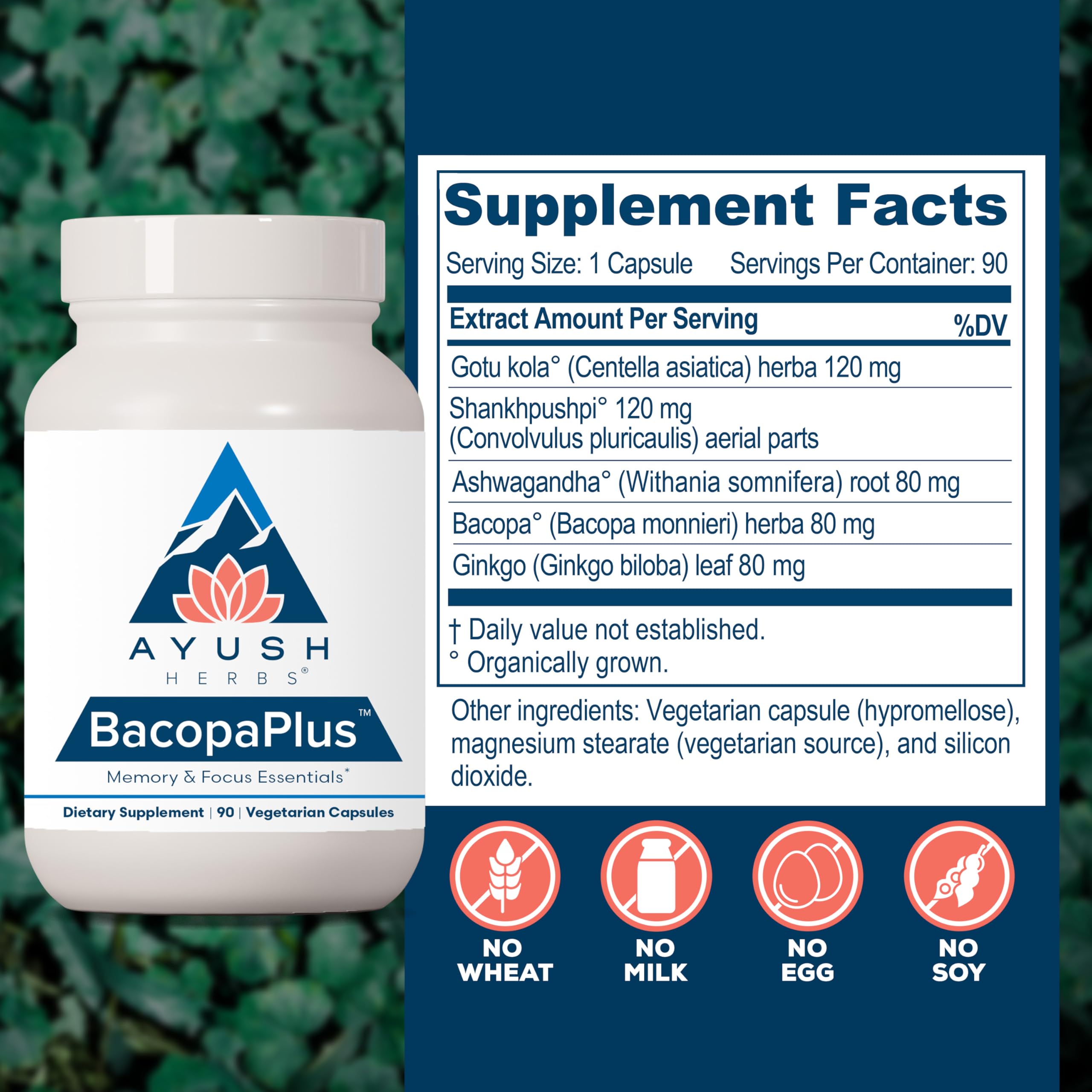 Ayush Herbs BacopaPlus organic blend ingredients display herbal nutrients for brain health