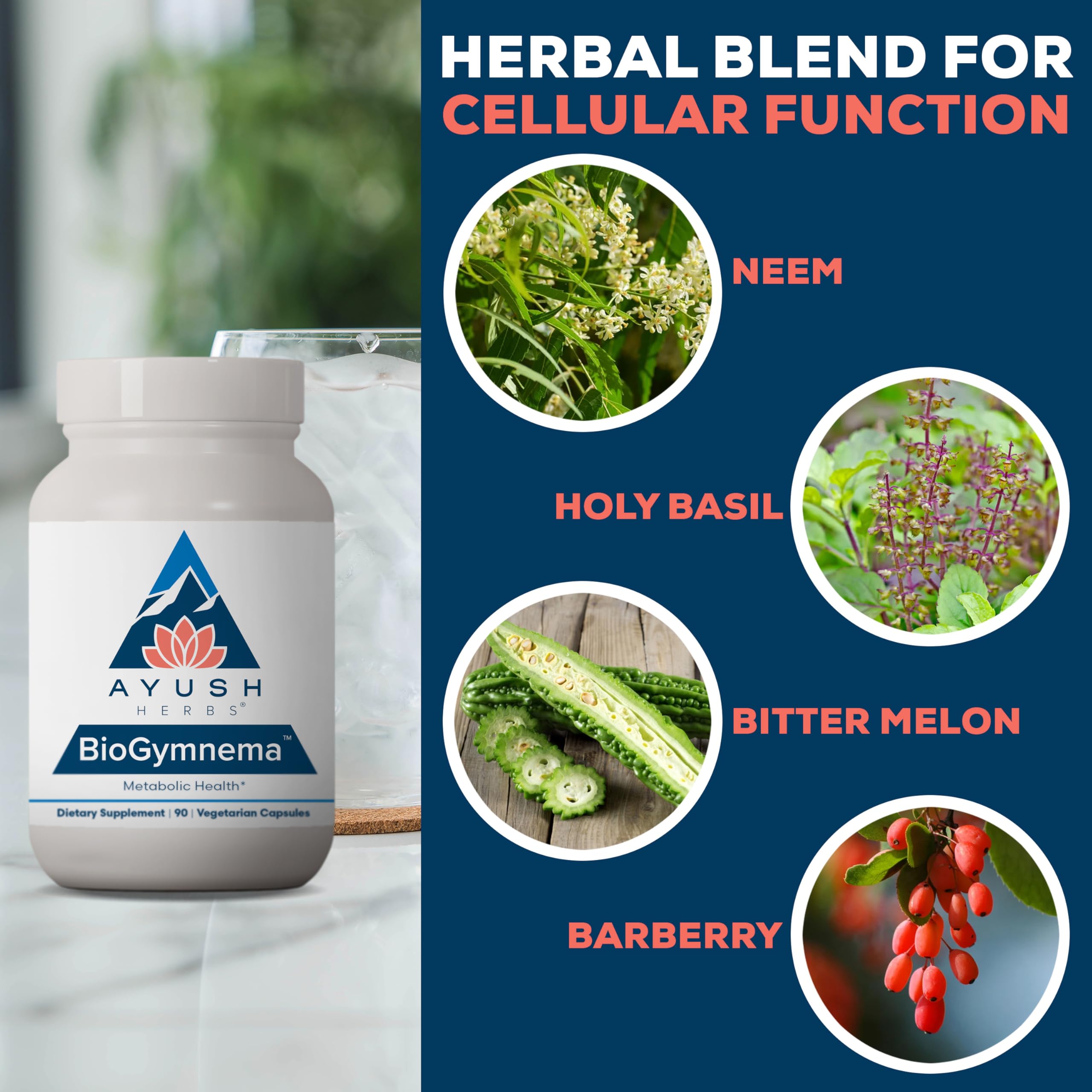 Ayush Herbs BioGymnema ingredients visuals showcase berberine, gymnema, bitter melon.