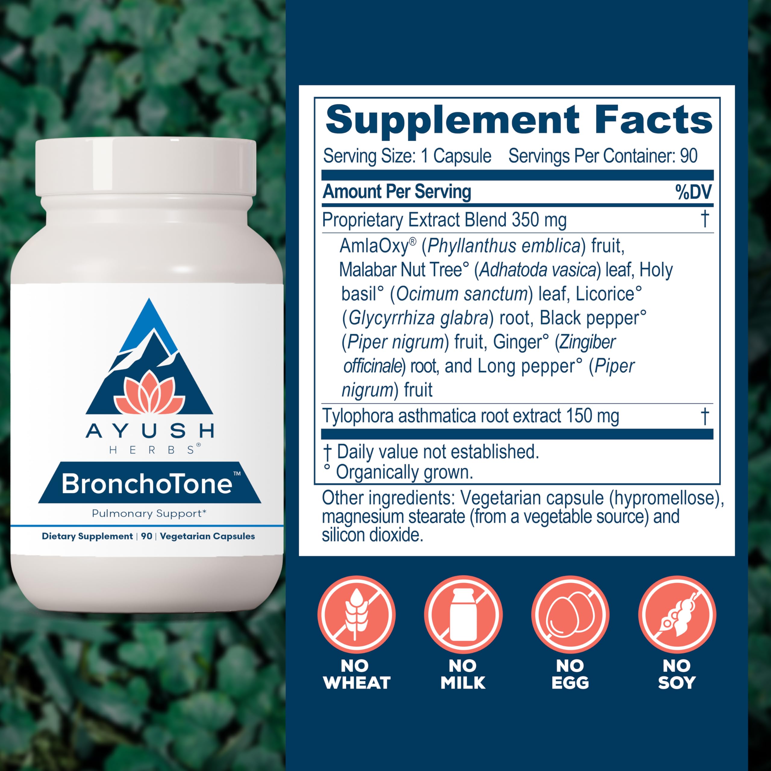 Ayush Herbs Bronchotone label close-up highlights allergen-free formulation.