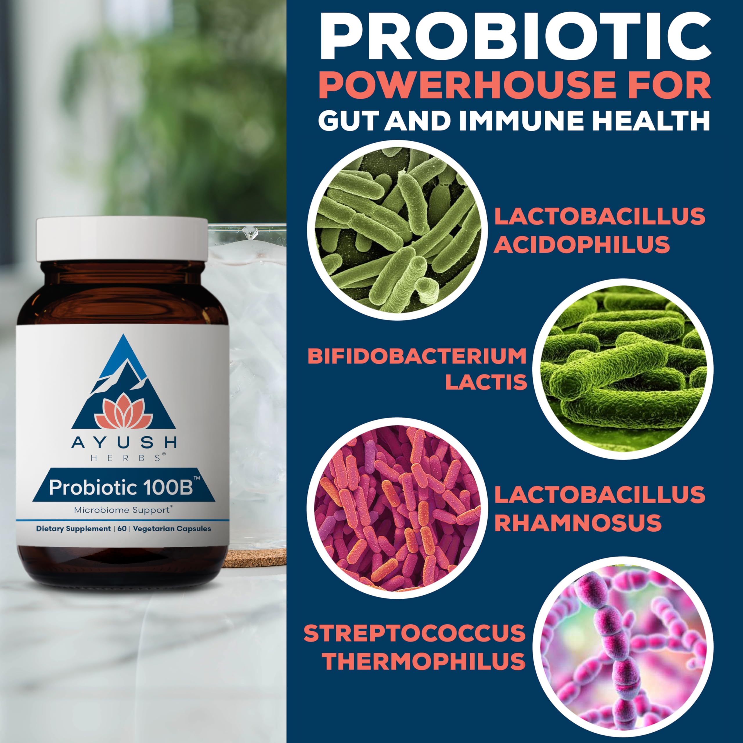 Ayush Herbs Probiotic 100B packaging image for easy daily use