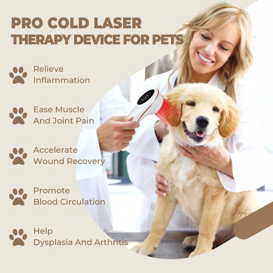 Azilaser 808nm near-infrared light focuses on deeper muscle areas for pet relief.