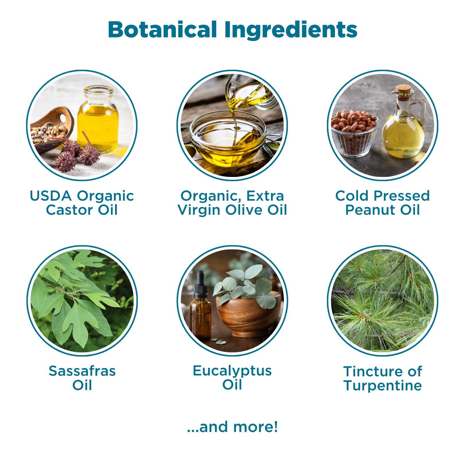 Baar LymphoCare ingredients oil blend featuring olive oil and rose hips