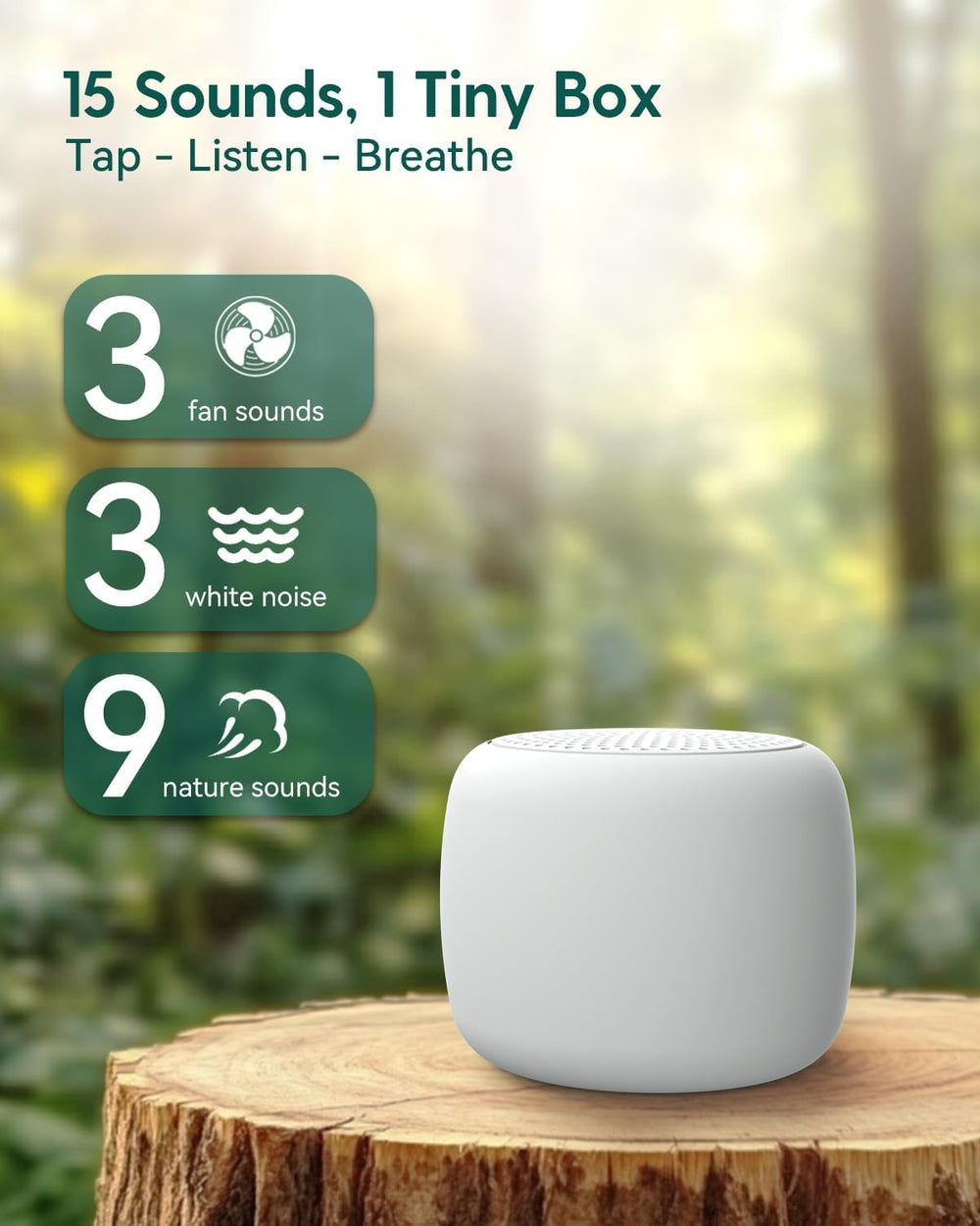 Babelio timer with color indicators guides session length without guesswork.