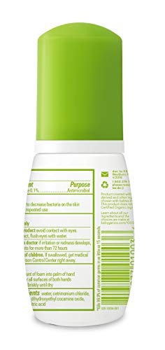 Pump-action dispenser releasing light, moisturizing foam from Babyganics sanitizer.