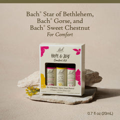 Bach Original Flower Remedies Hope Joy Kit dropper enables simple daily dosing