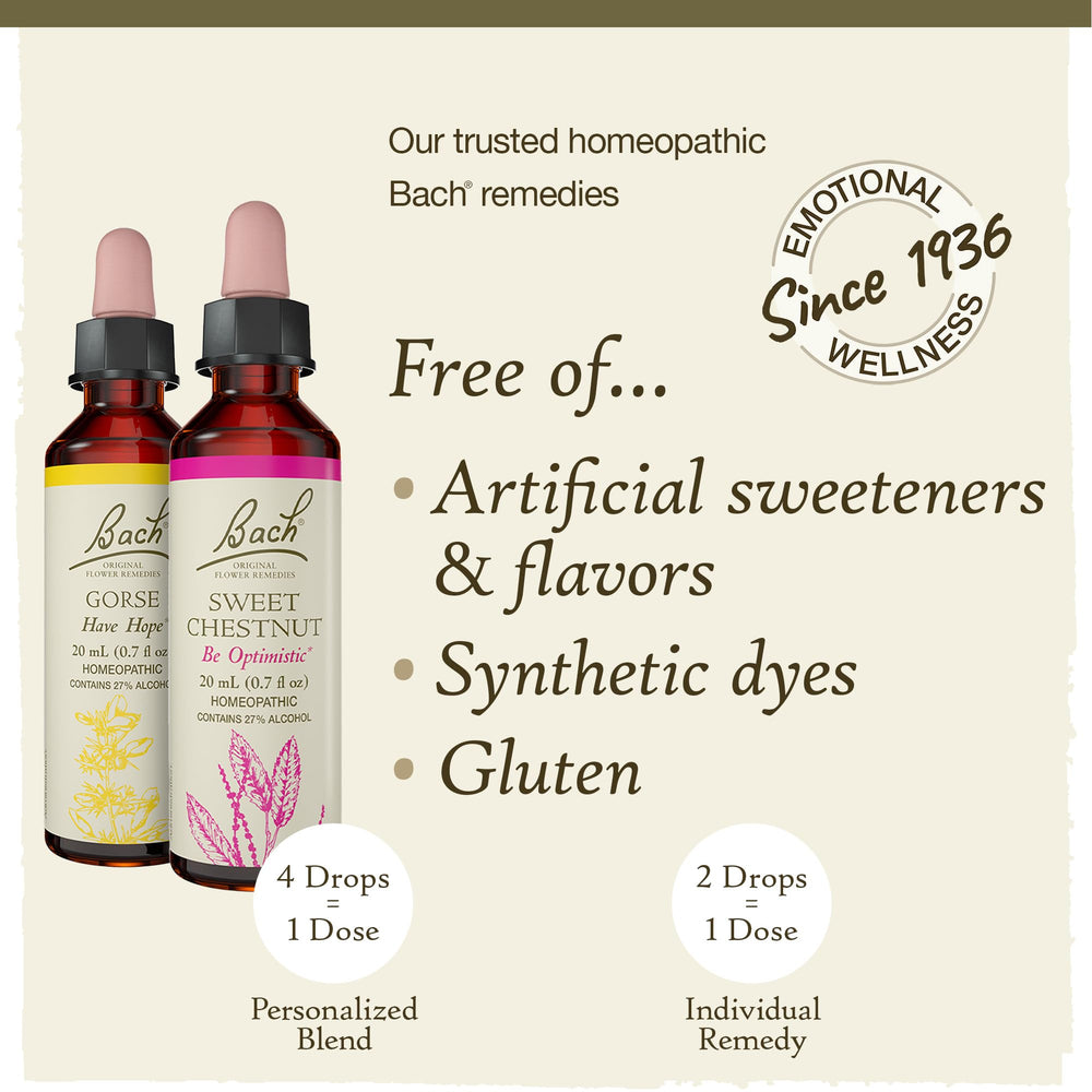 Bach Original Flower Remedies Hope Joy Kit floral essences support emotional balance