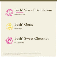 Bach Original Flower Remedies Hope Joy Kit label features natural flower essences