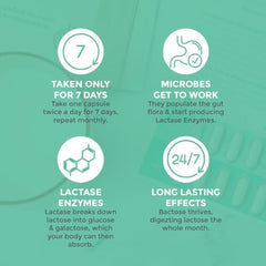 BACTOSE probiotic formulation detail presents a targeted blend for a seven-day cycle.