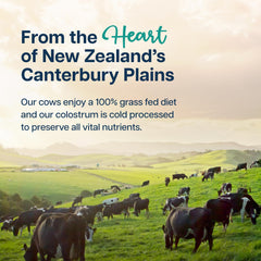 Baese Nutrition colostrum powder designed for adults dosing