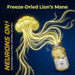 Baja North Mercantile freeze-dried lions mane pieces, ready for easy rehydration in tea or broth.
