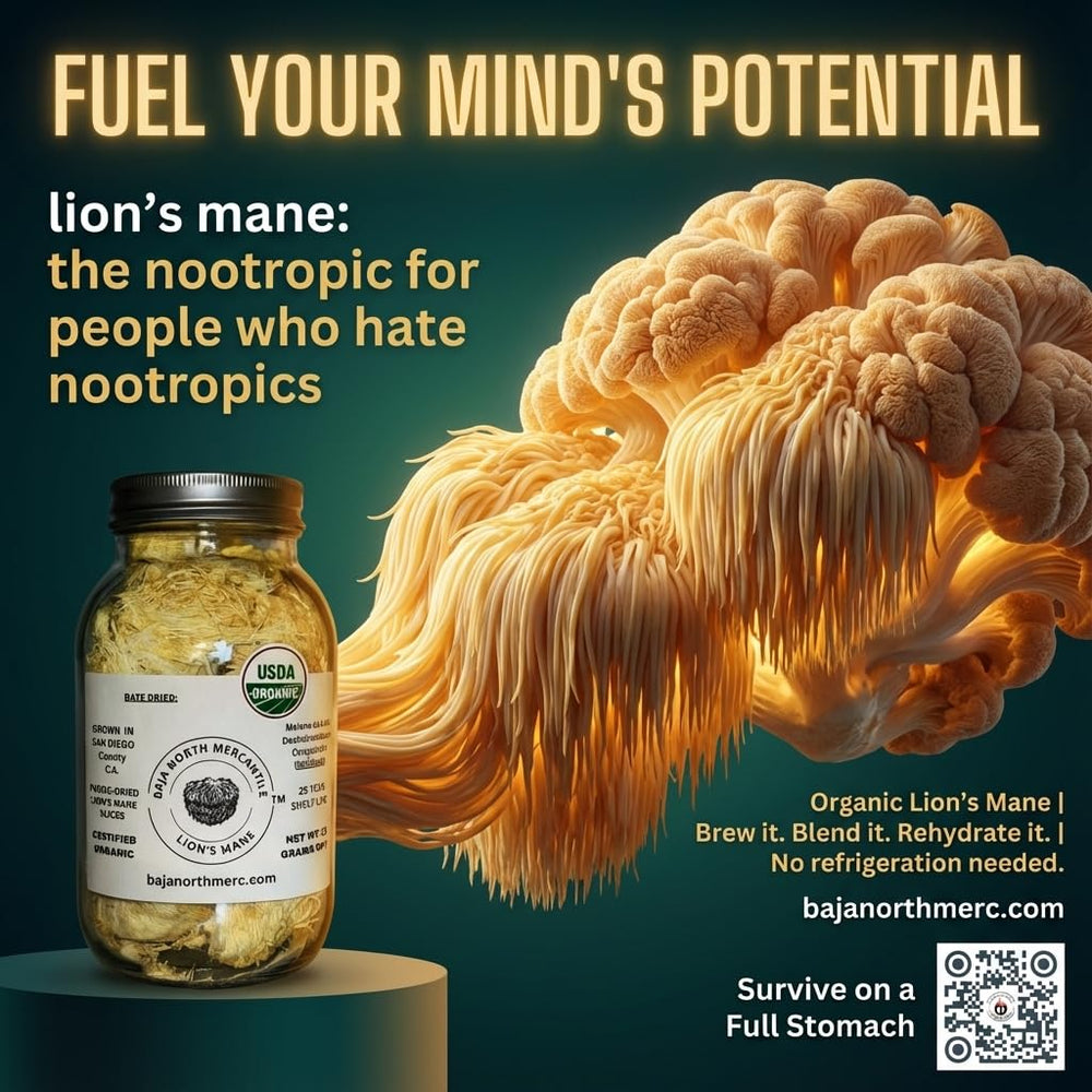 Baja North Mercantile Lion's Mane tea-use for quick infusion and aroma.