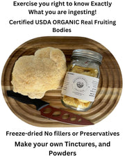 Baja North Mercantile organic lions mane mushroom, USA-grown with third-party certification.