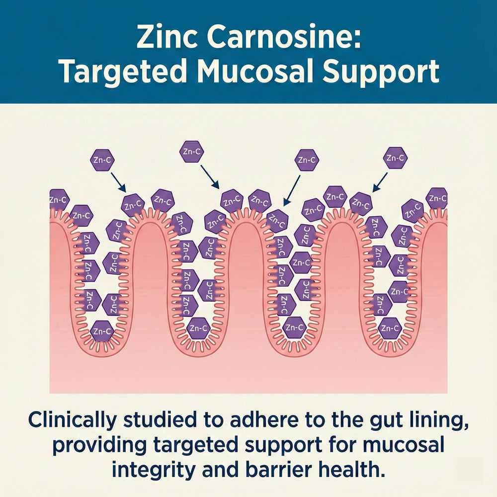 Close-up of Balance ONE L-Glutamine and Zinc Carnosine ingredients for targeted gut health