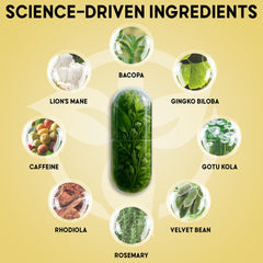 Balanced Vibe Brain Formula label highlights ginkgo biloba and bacopa.