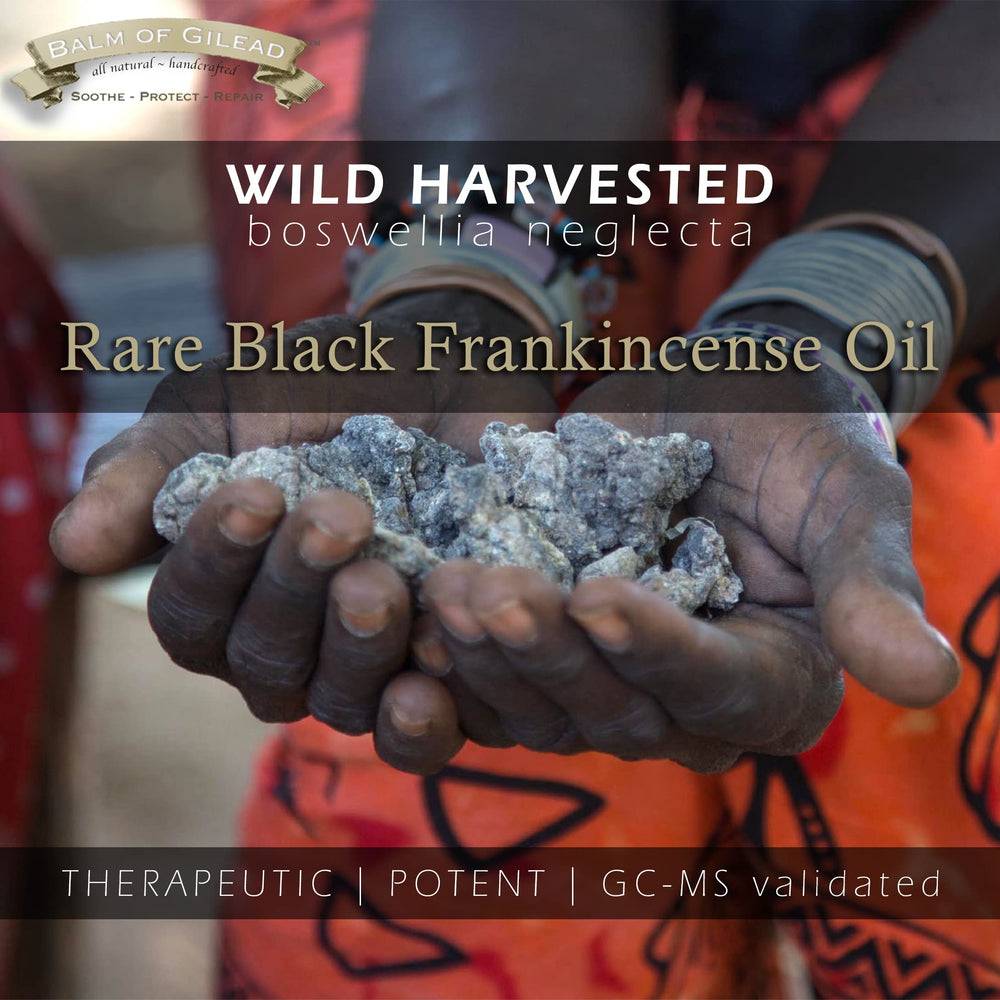 BALM OF GILEAD Wild-harvest frankincense oil symbolizing ethical sourcing