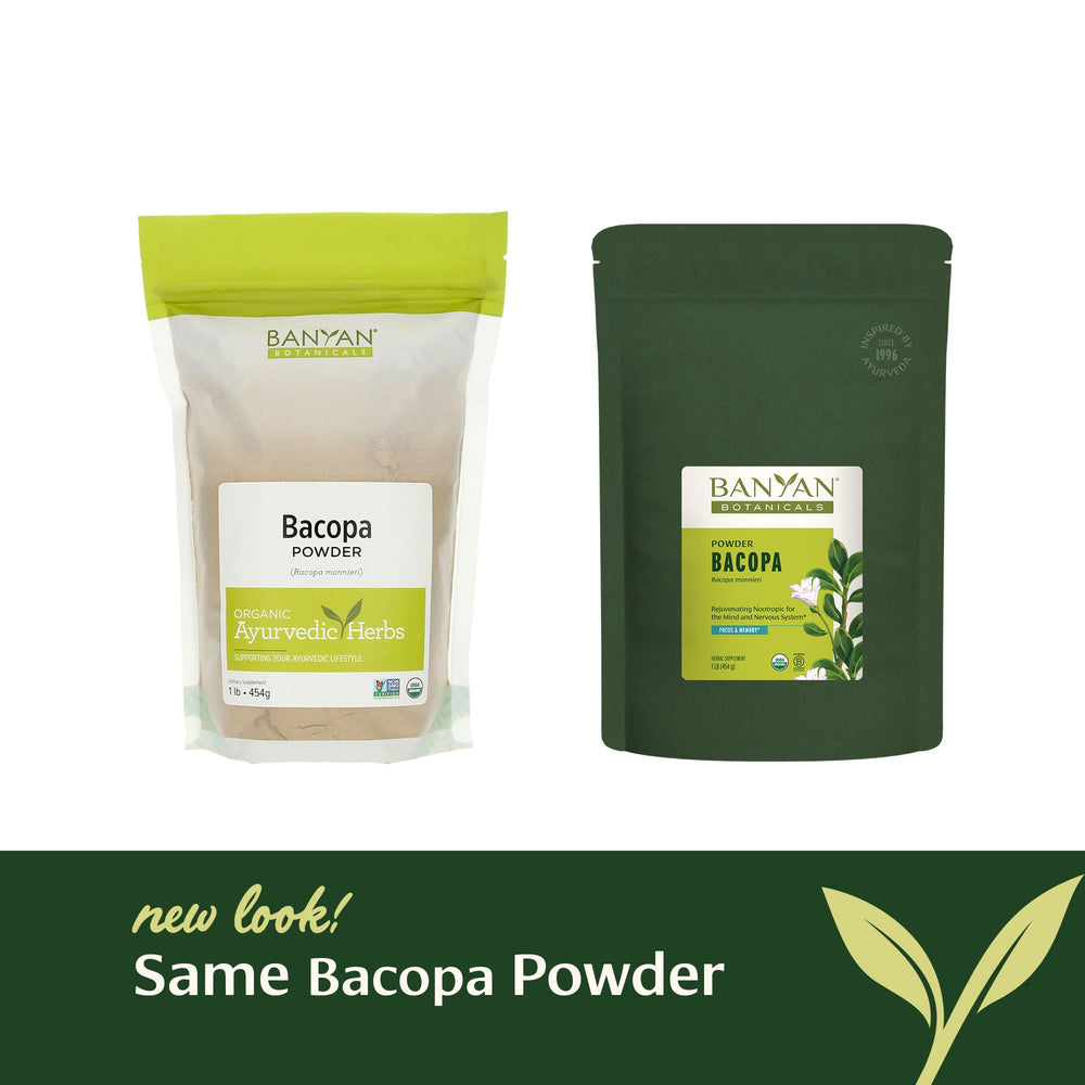 Scoop of Banyan Botanicals Bacopa Powder for easy measuring and dosing