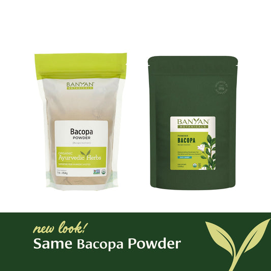 Scoop of Banyan Botanicals Bacopa Powder for easy measuring and dosing