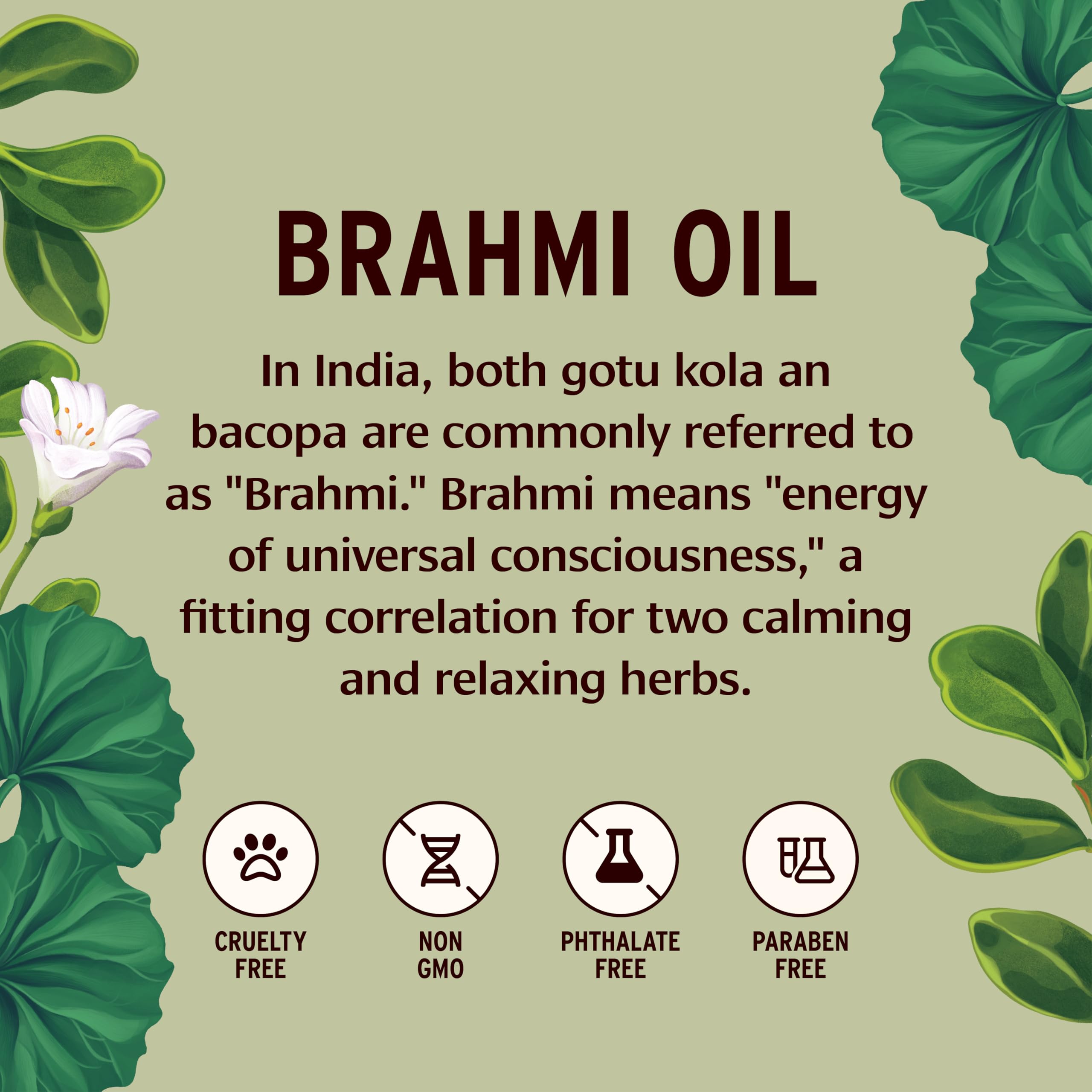 Banyan Botanicals Brahmi Oil pour shows silky texture for full-body abhyanga.