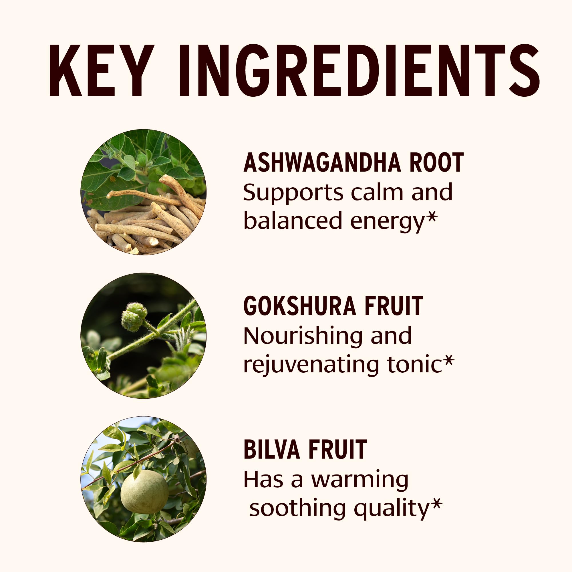 Dashamula Oil+ texture on skin suggests deep relaxation after use