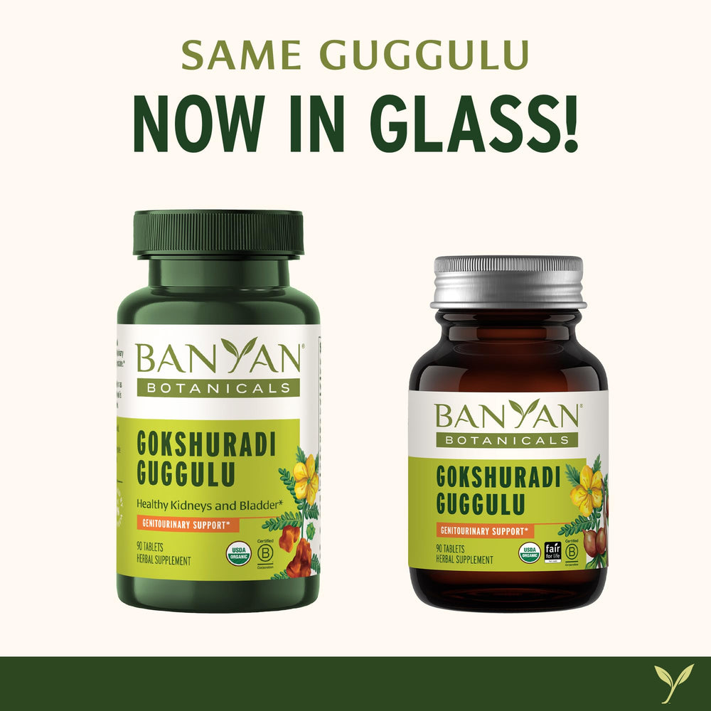 Gokshuradi Guggulu capsules close-up under natural light signaling purity and care.