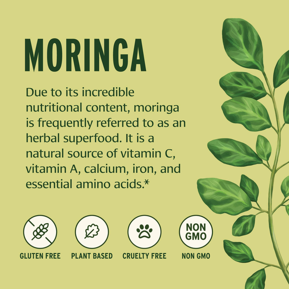 Banyan Botanicals Moringa Powder green smoothie scene, natural superfood for balanced nutrition.