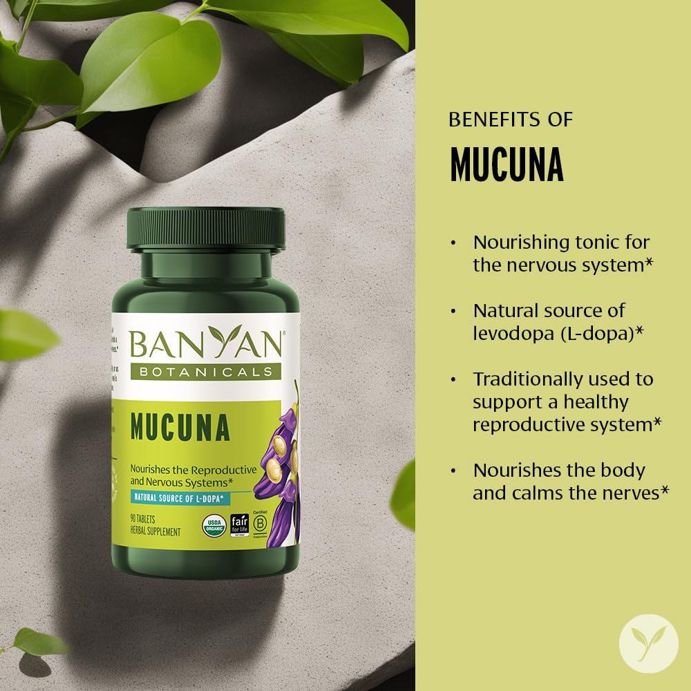 Hands holding Banyan Botanicals Mucuna Pruriens tablets for a daily routine.