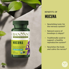 Hands holding Banyan Botanicals Mucuna Pruriens tablets for a daily routine.