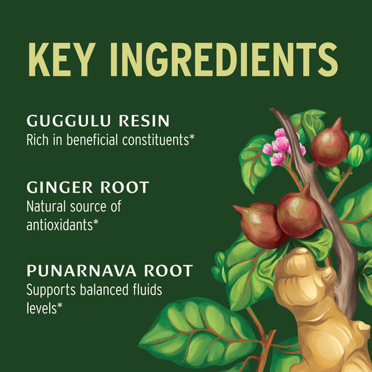 Punarnavadi Guggulu tablets on display with herbs, hinting at urinary balance.