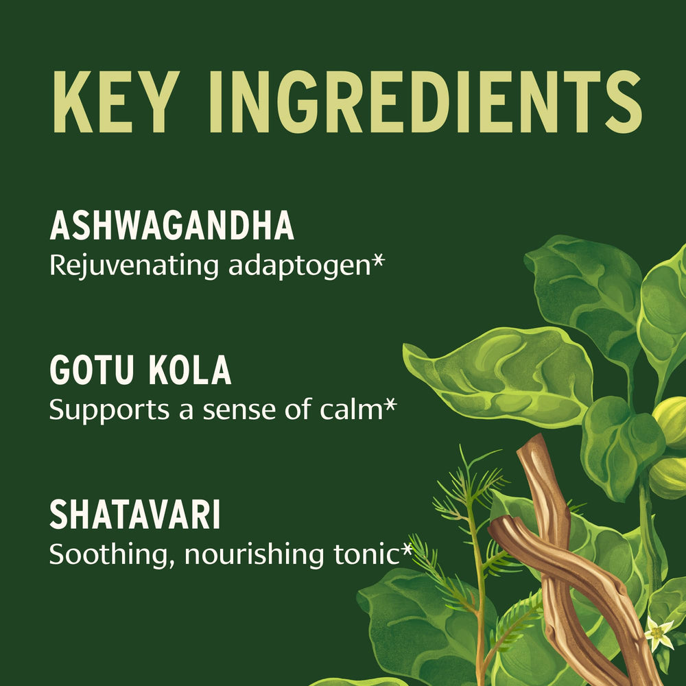 Banyan Stress Ease Ashwagandha-Shatavari blend highlights adaptogenic balance.