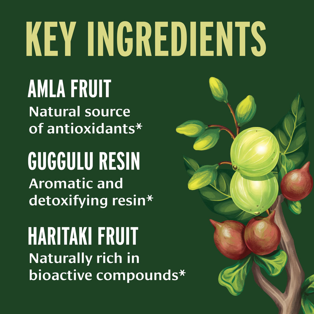 Banyan Botanicals Triphala Guggulu tablets ready for a structured Ayurvedic regimen.