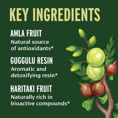 Banyan Botanicals Triphala Guggulu tablets ready for a structured Ayurvedic regimen.