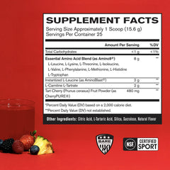 Bare Performance Nutrition BPN Recover amino9 blend bottle supporting muscle repair.