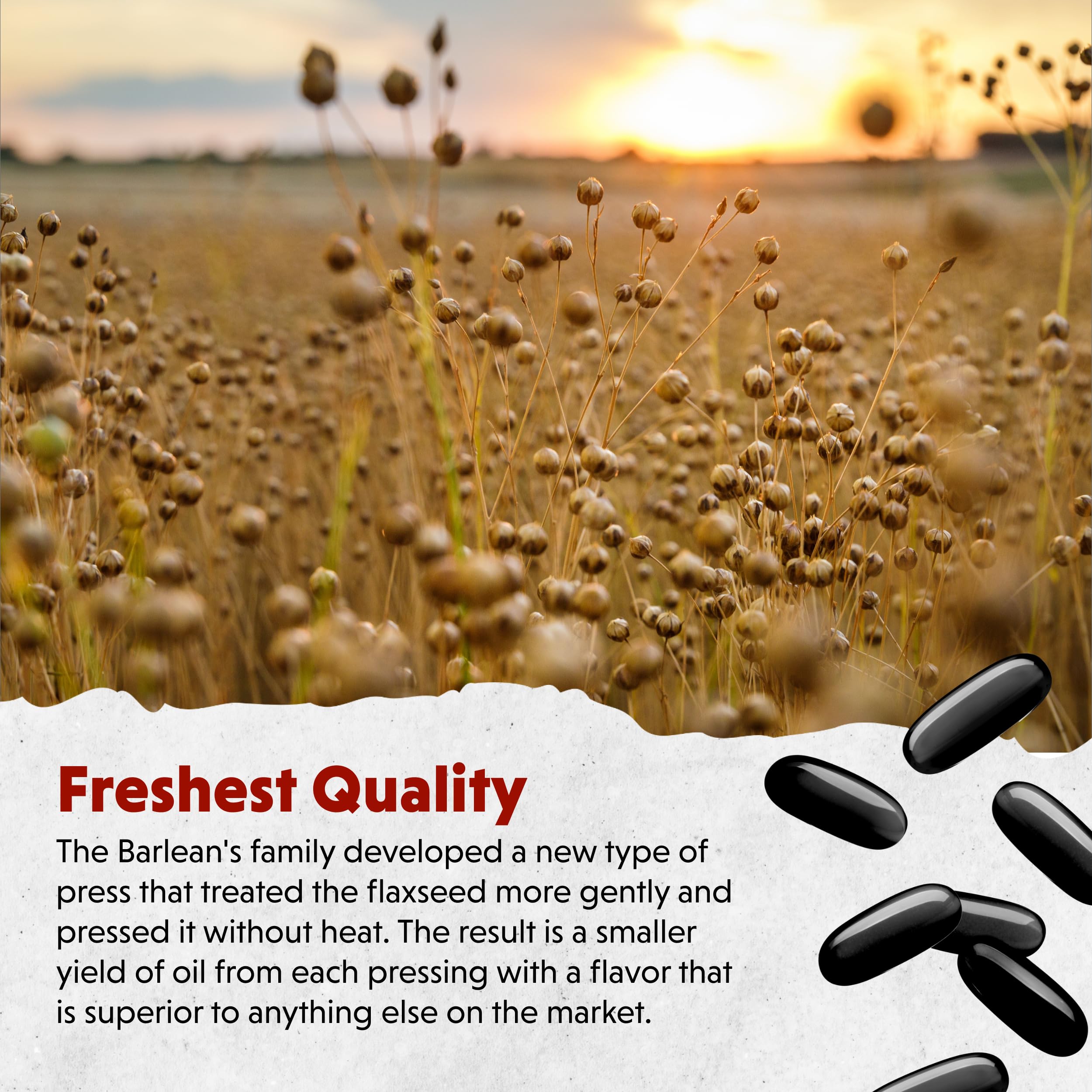 Barlean's Lignan Flaxseed Oil softgels serving spoon with daily dosage display