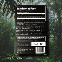 Based Supplements Black Ginger in-use scene suggests daytime energy for workouts.
