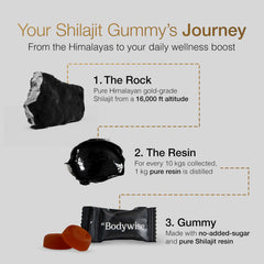 Be Bodywise Ashwagandha Shilajit gummies close-up showing natural ingredients for wellness