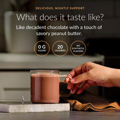 Beam Dream Sleep Powder ingredients scene highlights magnesium and L-Theanine.