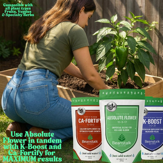 Beanstalk Agriculture Fortify powder in packaging ready for garden mixing.