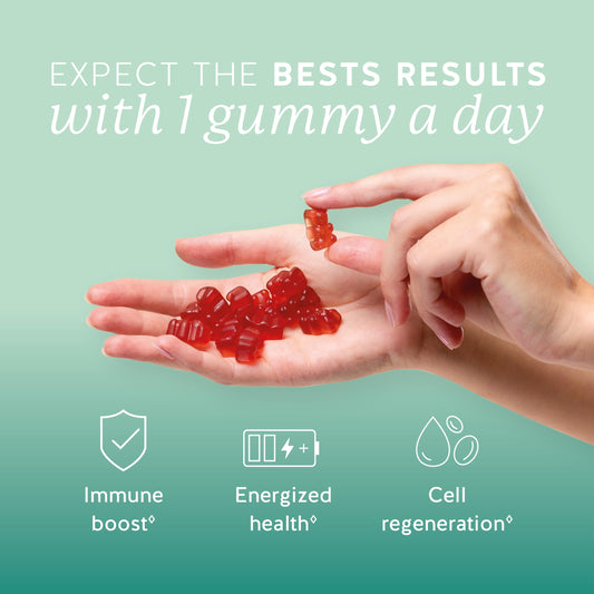 Bears with Benefits Immune Gummies ingredient panel highlights vitamins C, D, B6 and B12