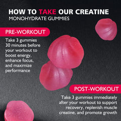 BEAST BITES Vegan sugar-free label emphasizes plant-based, gluten-free formula.
