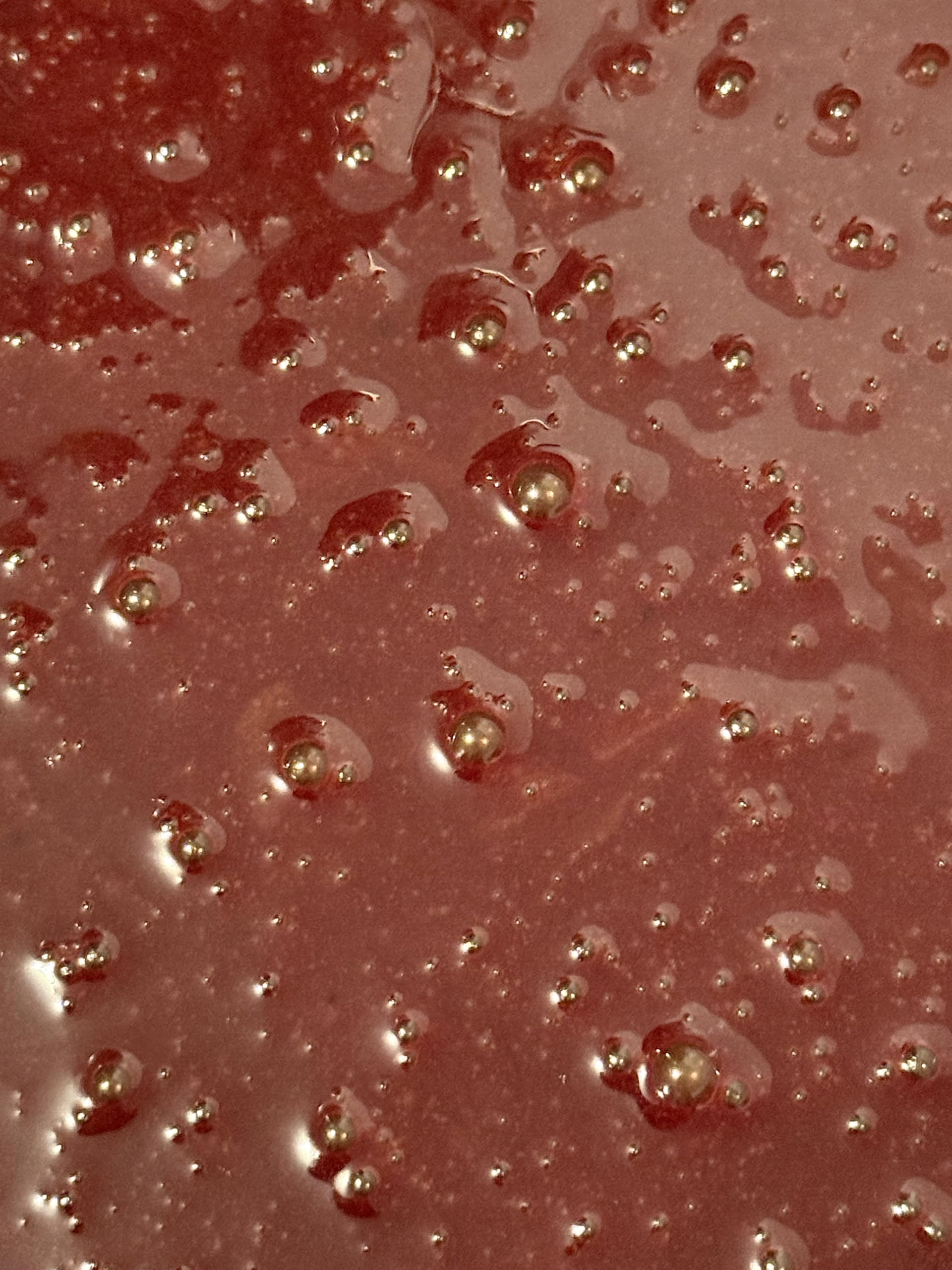 BEEGHEE spoonful reveals creamy tangy texture for easy daily enjoyment.