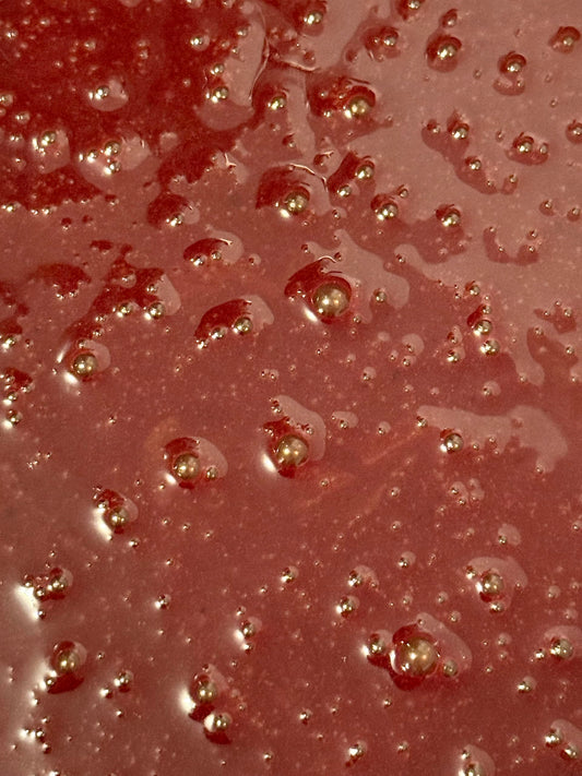 BEEGHEE spoonful reveals creamy tangy texture for easy daily enjoyment.