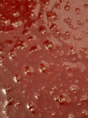 BEEGHEE spoonful reveals creamy tangy texture for easy daily enjoyment.